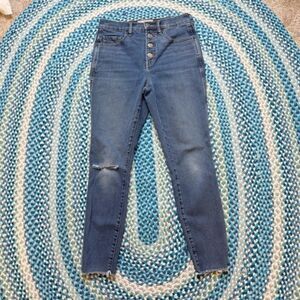 Everlane Ankle Jeans